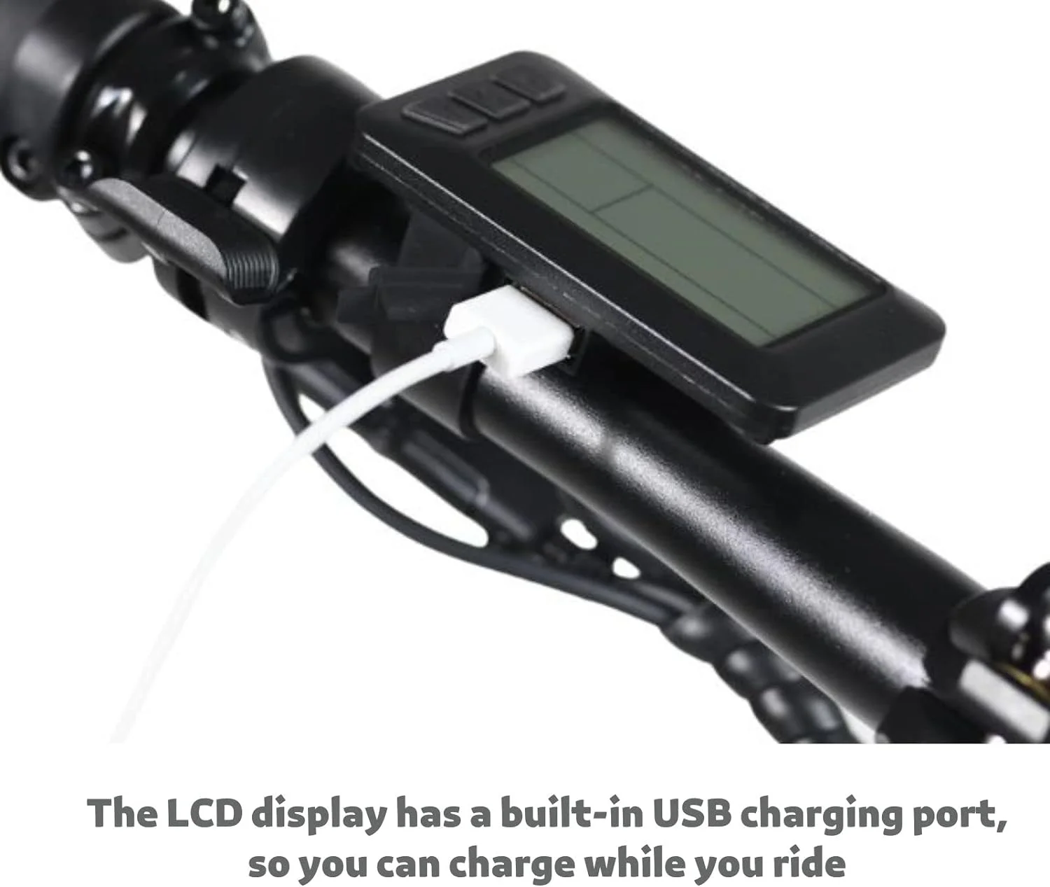 Qualisports Dolphin 20