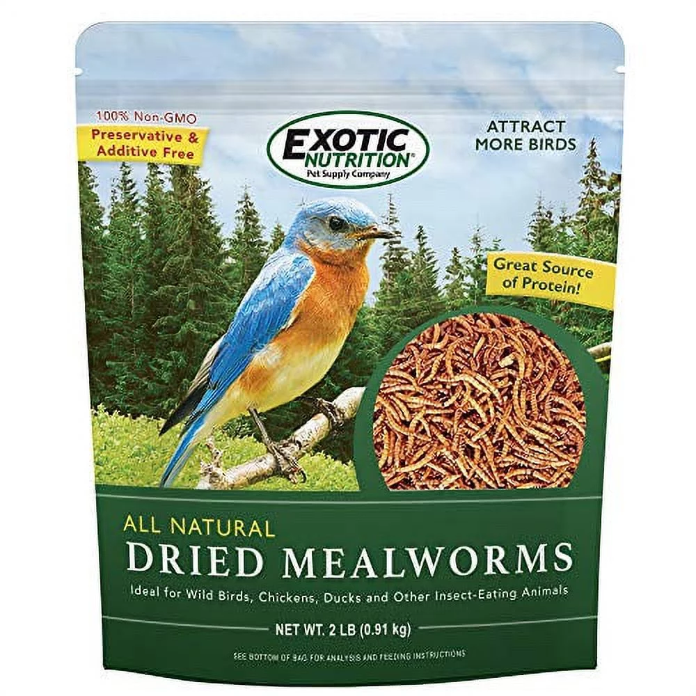 Exotic Nutrition Dried Mealworms 5 lb.