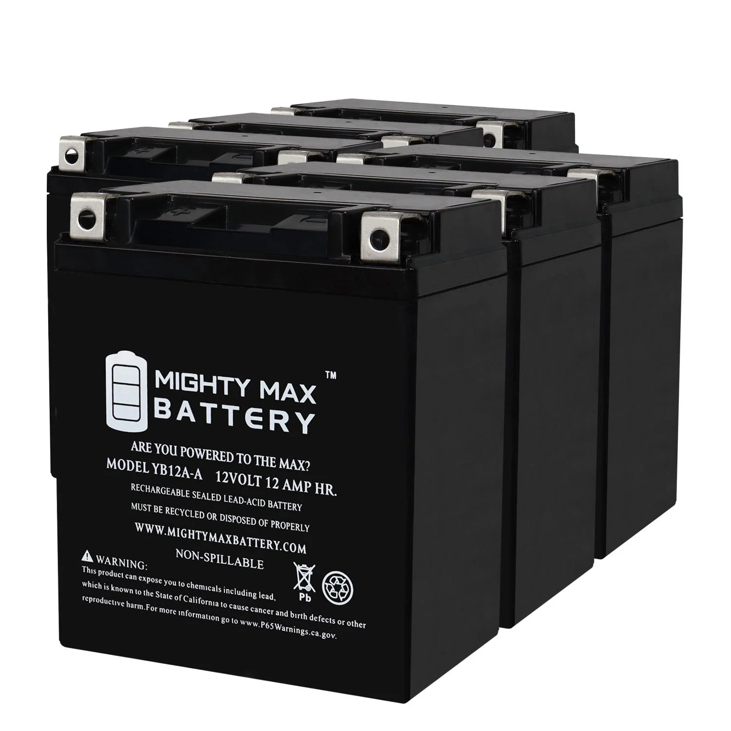 YB12A-A 12V 12AH Replacement Battery compatible with Yamaha YX600 Radian 86-90 - 6 Pack