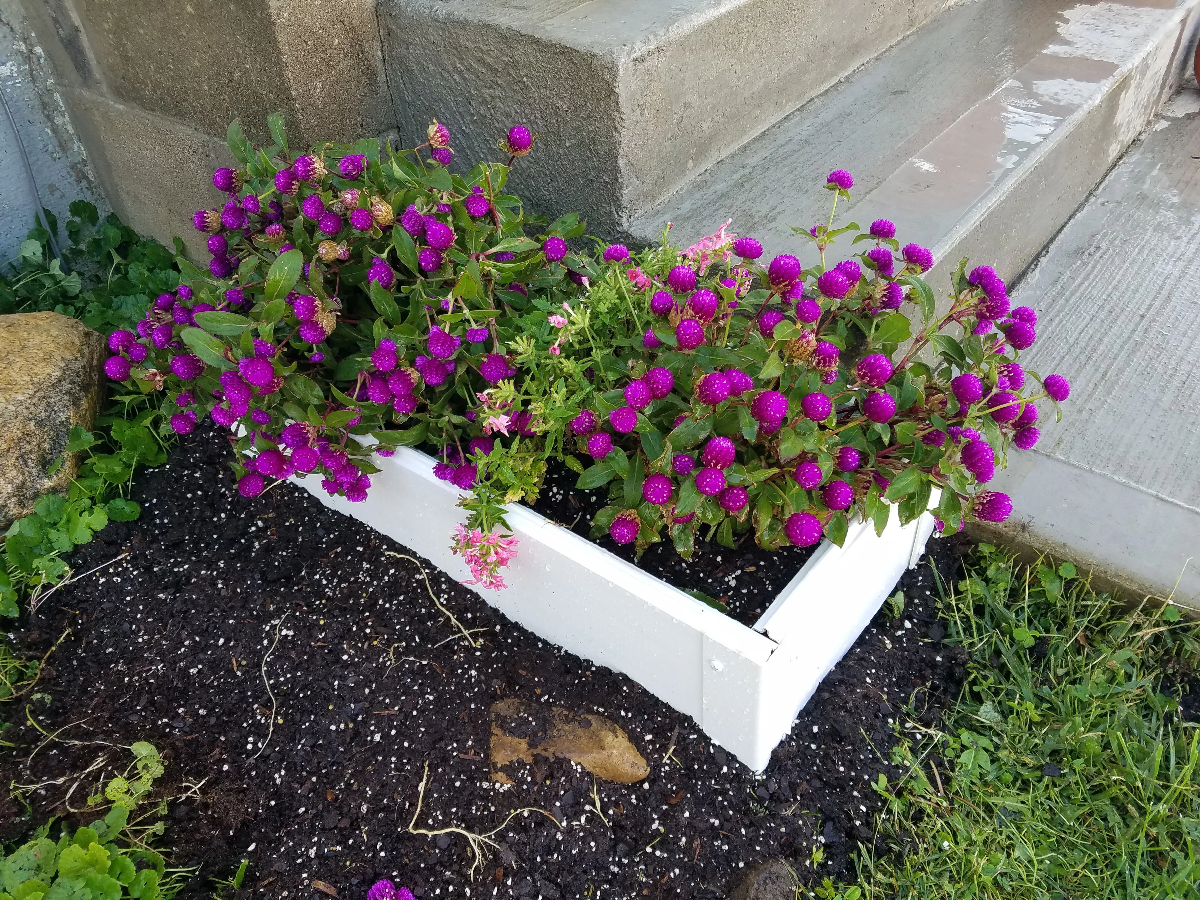 Handy Bed  1 x 2 ft. 6 in. Handy Raised Garden Bed Kit