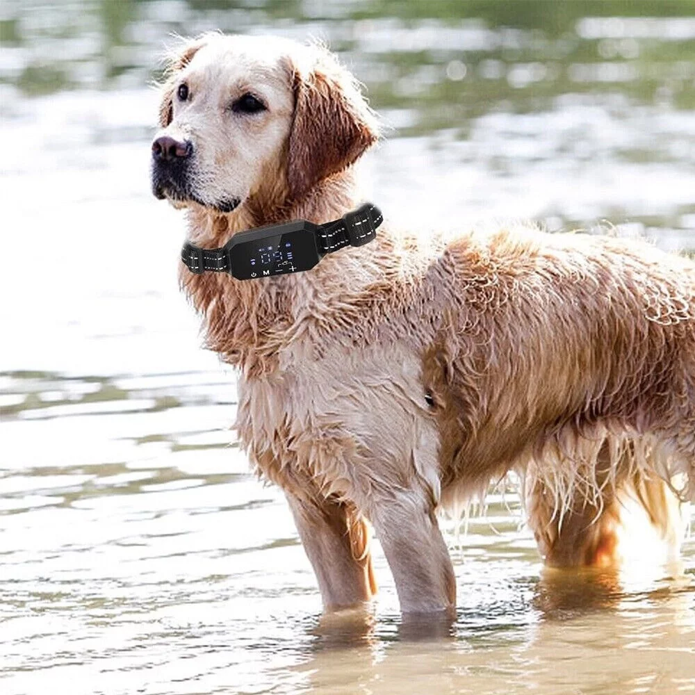 Pet Dog GPS Wireless Electric Fence Containment System Training Collar Shock