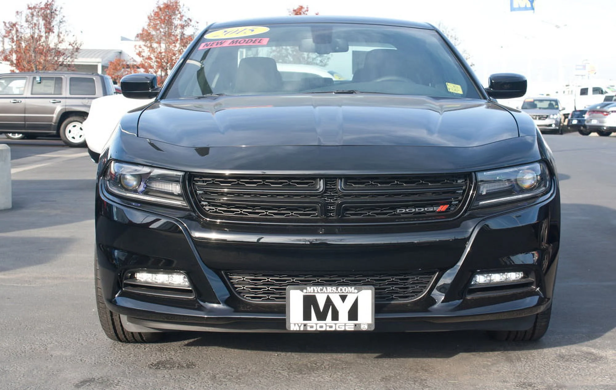 STO N SHO Front License Plate Bracket Compatible with 2015-2020 Dodge Charger SE, SXT, R/T, GT and 2021-2023 Dodge Charger SXT (SNS66)