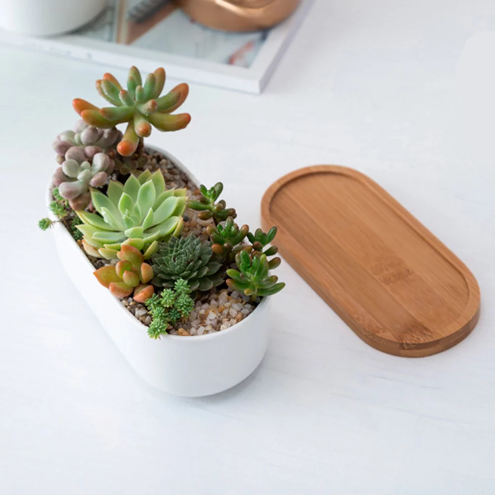 Guichaokj 2pcs Ceramic Succulent Bonsai Plant Pot Cactus Flower Planter with Bamboo Saucer