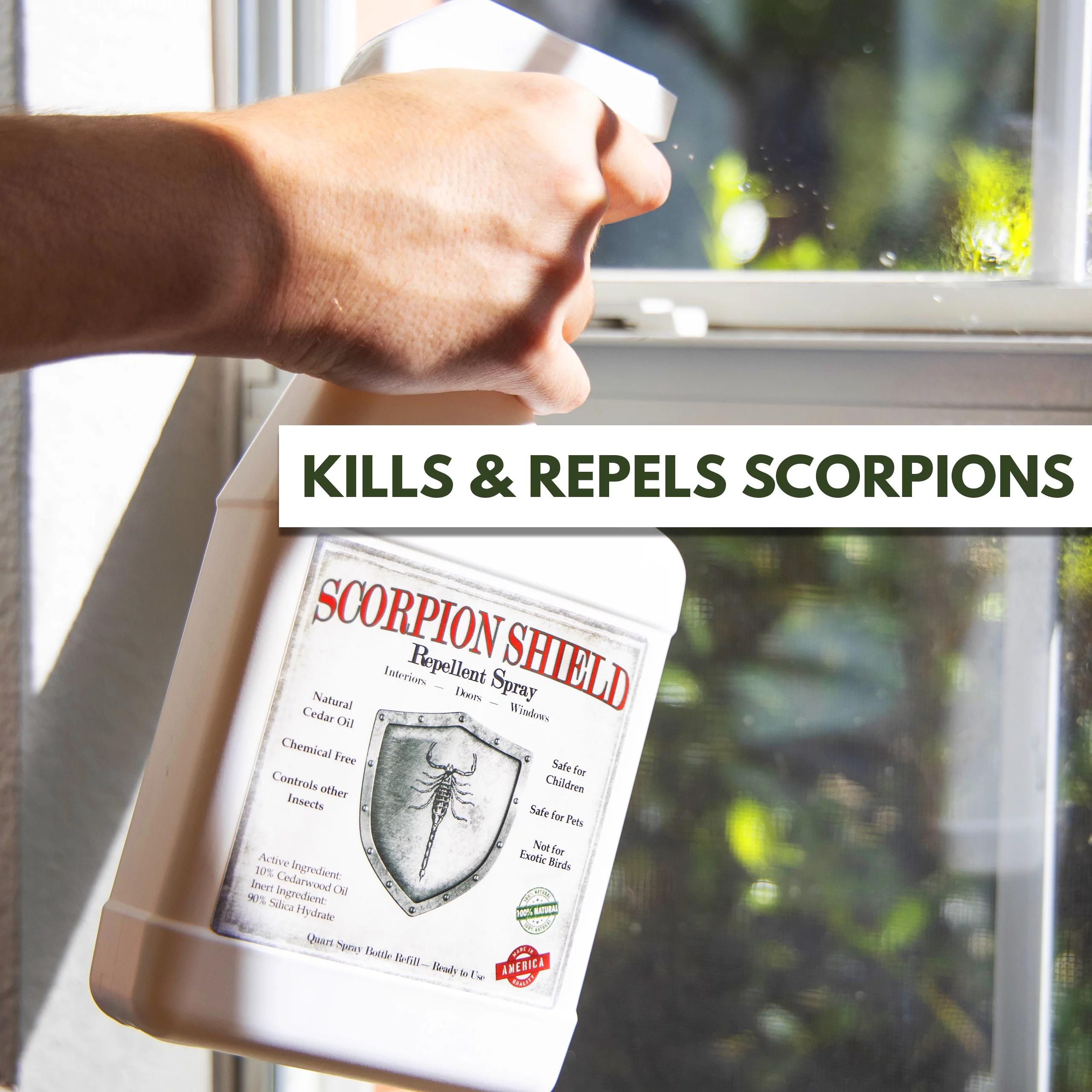 Cedarcide Scorpion Shield (Gallon) Indoor Natural Cedar Oil Pest Control Spray - Kills & Repels Scorpions and Other Pests Guaranteed - All Natural - Pet Safe