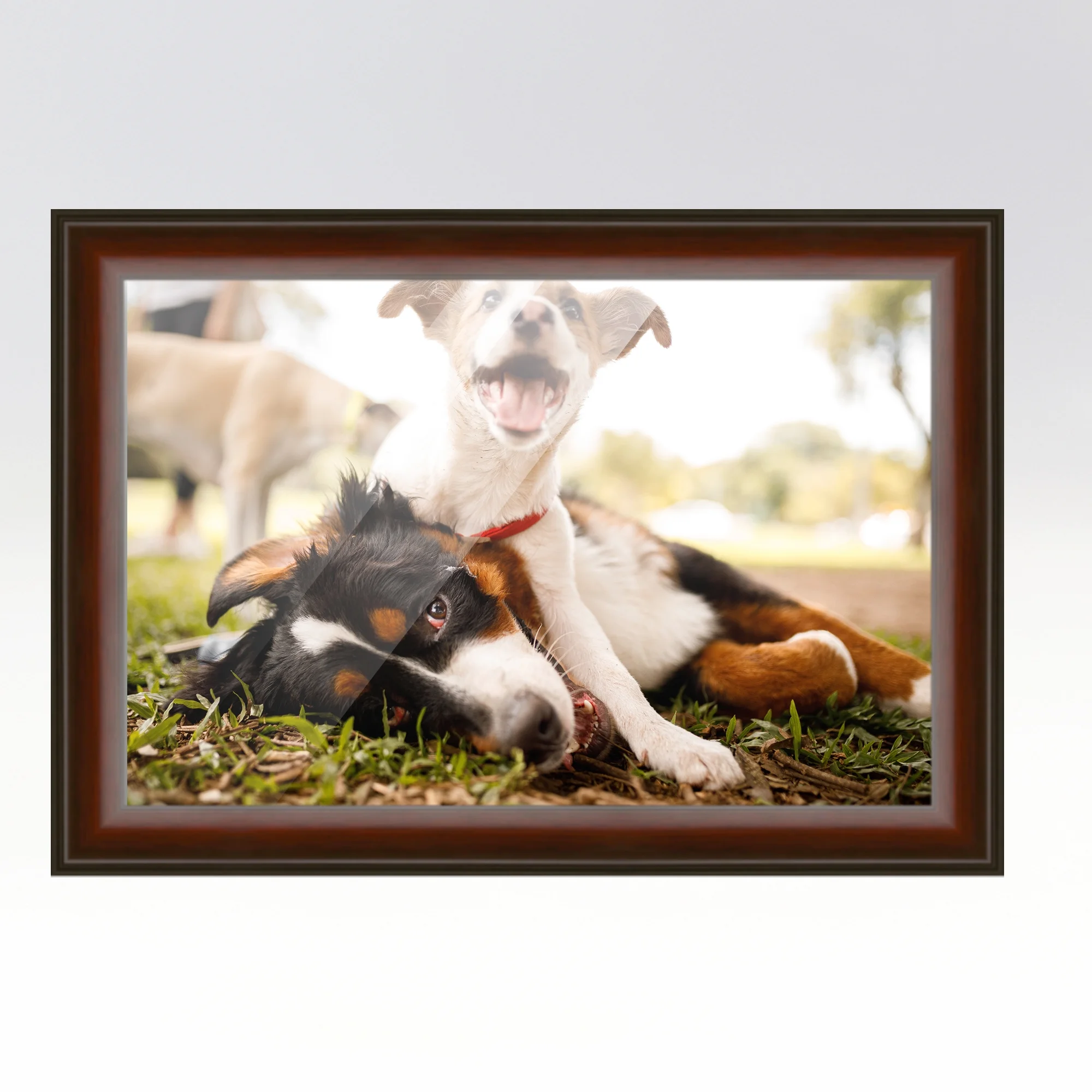 14x24 Rounded Brown Real Wood Picture Frame Width 1.5 inches | Interior Frame Depth 0.5 inches |