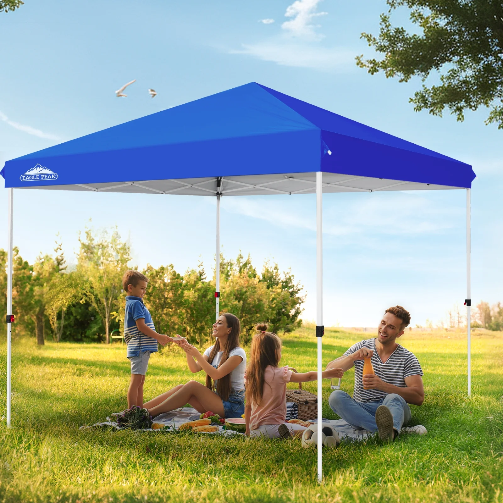 EAGLE PEAK 10x10 Straight Leg Canopy Outdoor Canopy Gazebo Tent,Blue