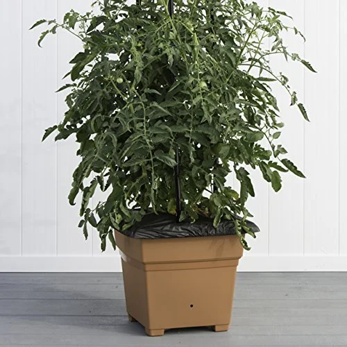 EarthBOX 81705 Garden Kit, White