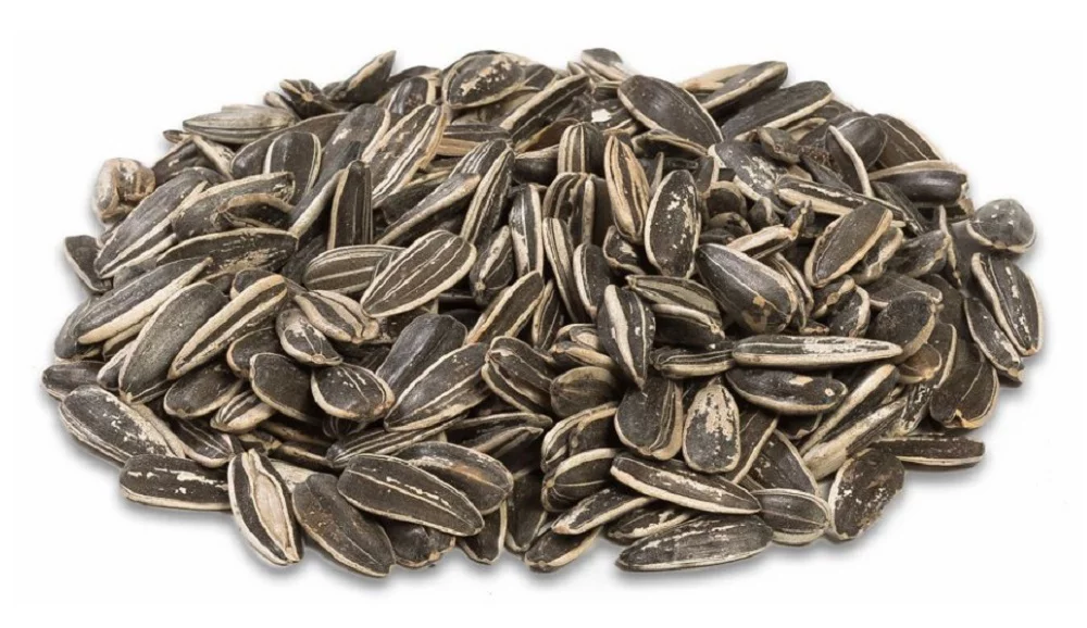 Royal Wing 145 Animal Supplies Grey-Striped Sunflower 20 lb. Bag Wild Bird Food