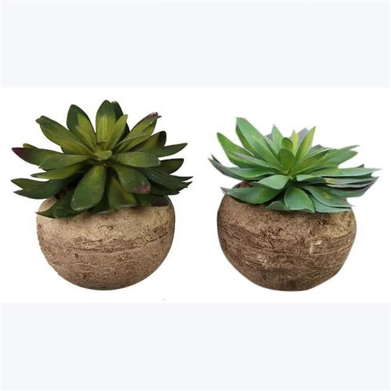 Youngs 20967 Succulent & Stone Like Pot, Assorted Color - 2 Piece