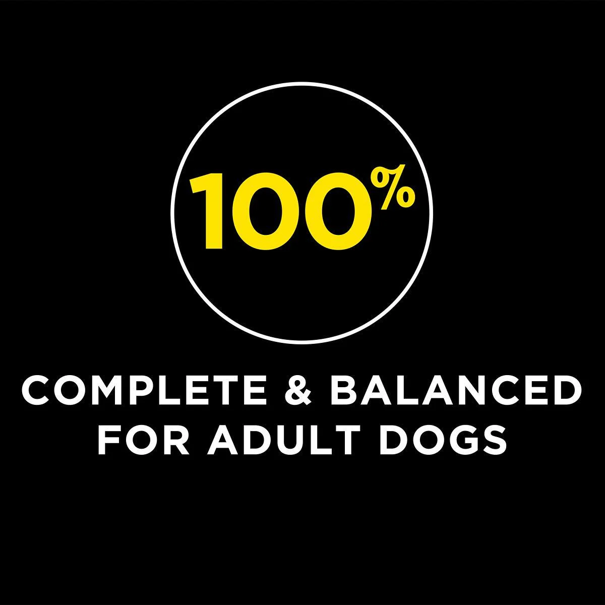 Purina Dog Chow Hi Protein Dog Food 44lb