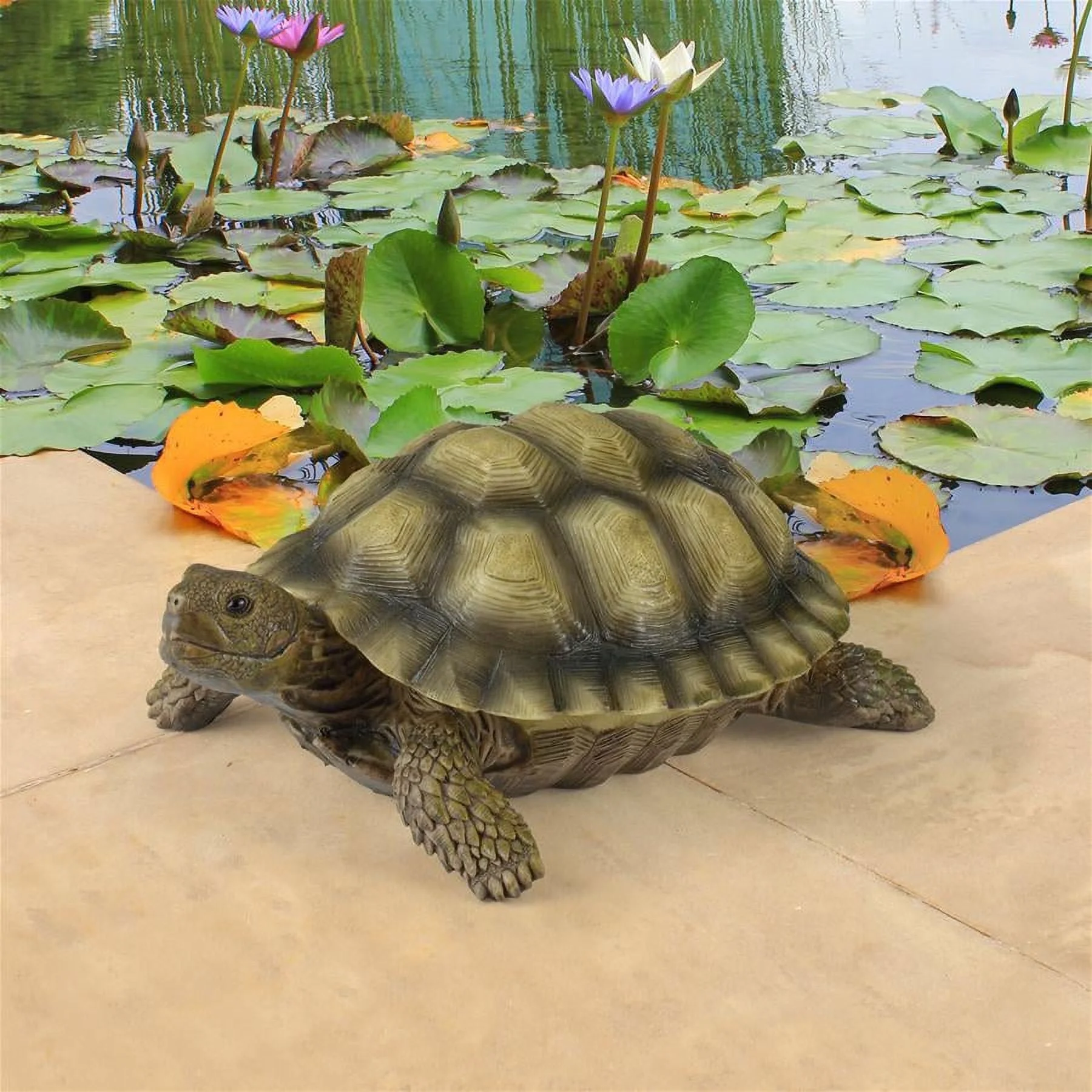 Design Toscano Gilbert, The Box Turtle Statue