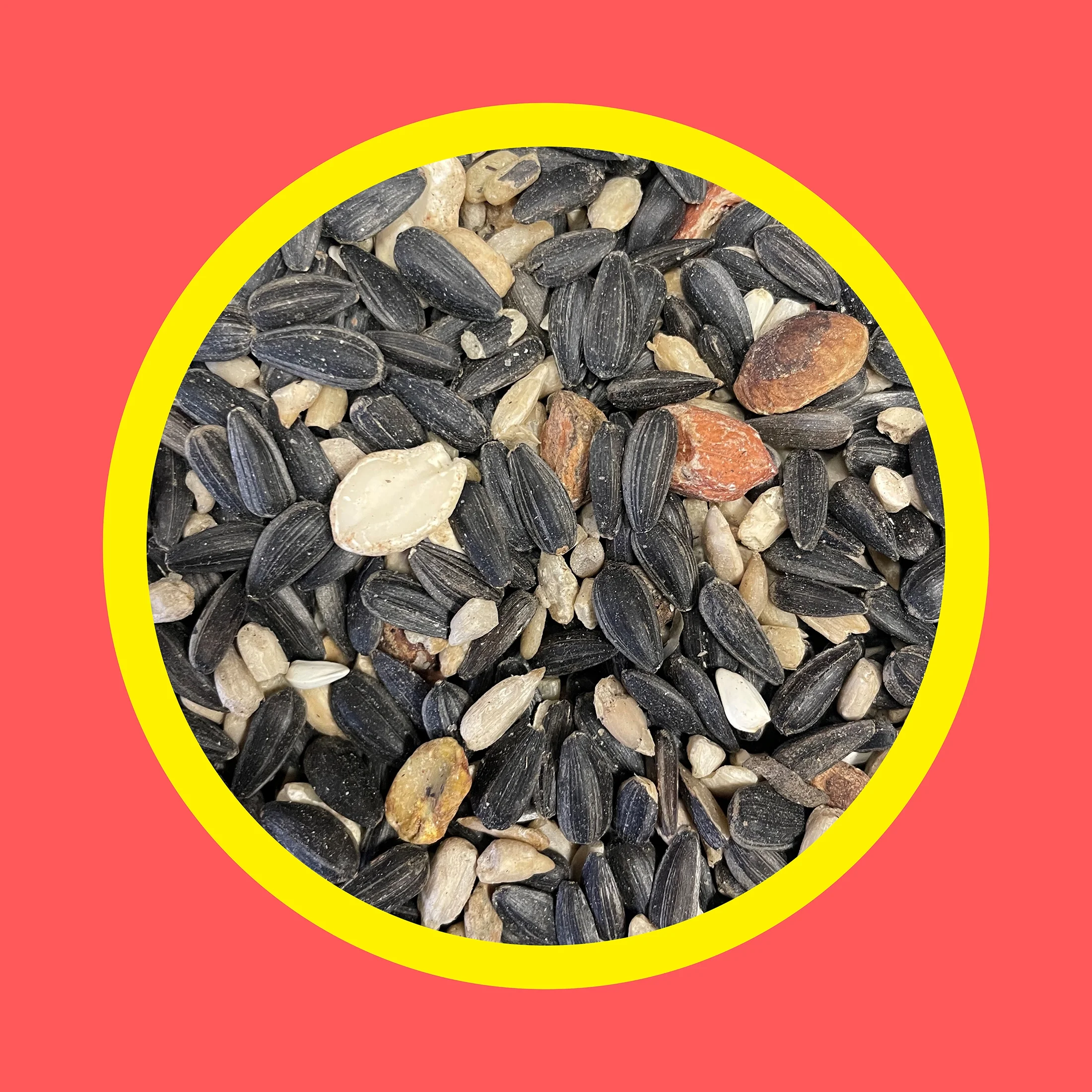 3-D Pet Products Premium Western Region Blend Dry Wild Bird Food, 5 lb., 1 Pack