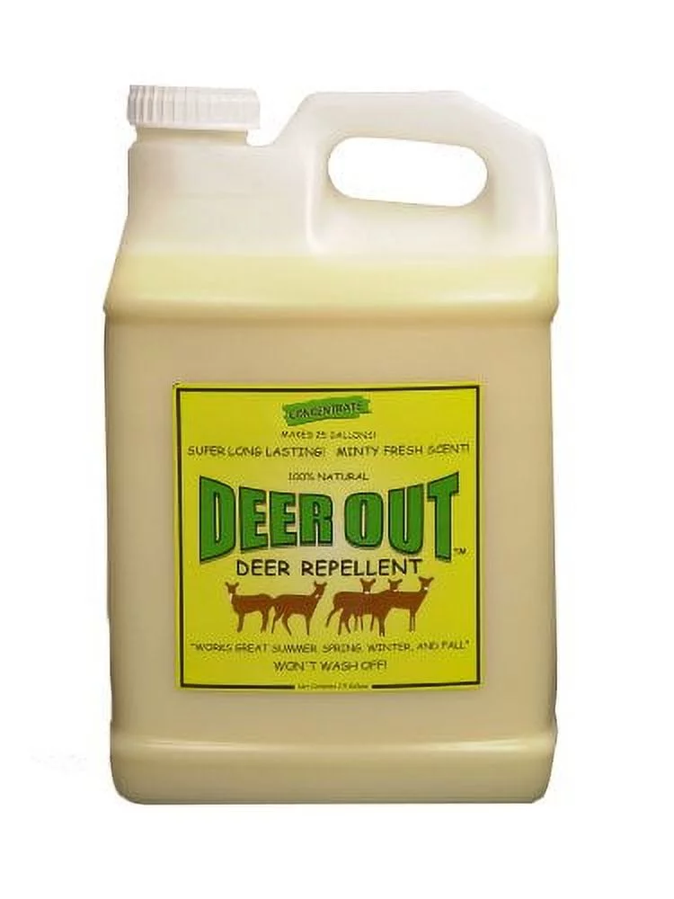 Deer Repellent: Deer Out deer repellent 2 1/2 gallon concentrate