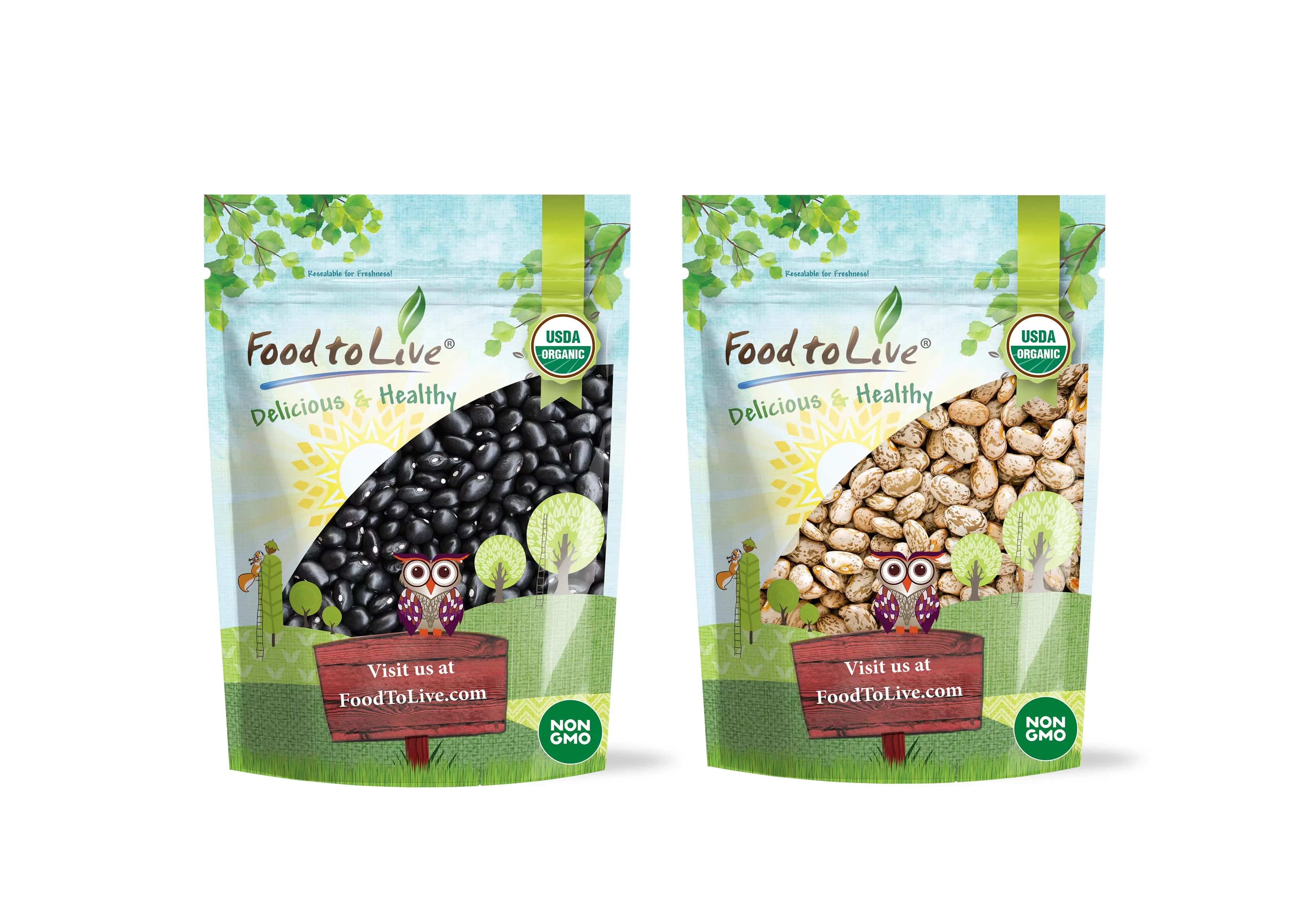 Organic Dry Beans Bundle, 2 Pack ? Organic Black Beans (5 LB), Organic Pinto Beans (5 LB), Non-GMO, Raw, Vegan, Kosher, Sproutable, Bulk. Rich in Fiber and Protein. Perfect for Soups, Burritos, Tacos