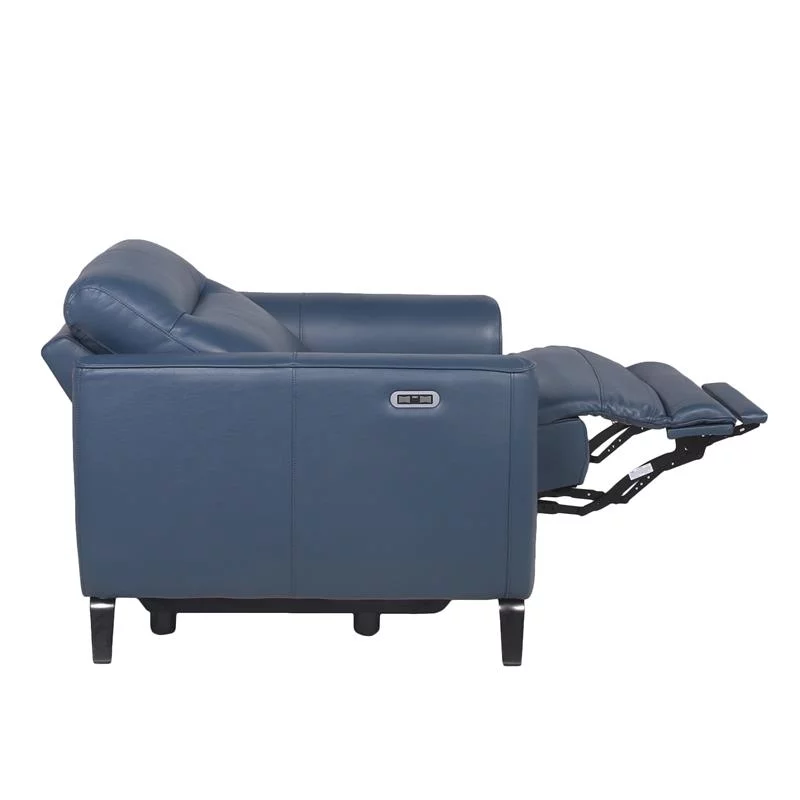 Bowery Hill Ocean Blue Top Grain Leather Power Reclining Chair