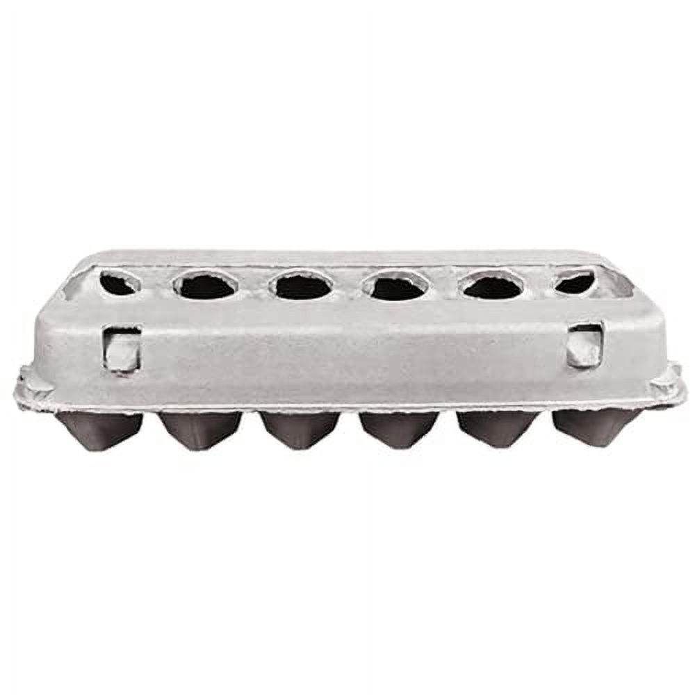 Blank 12-Egg Jumbo Paper Pulp Egg Cartons Bulk (125 Pack)