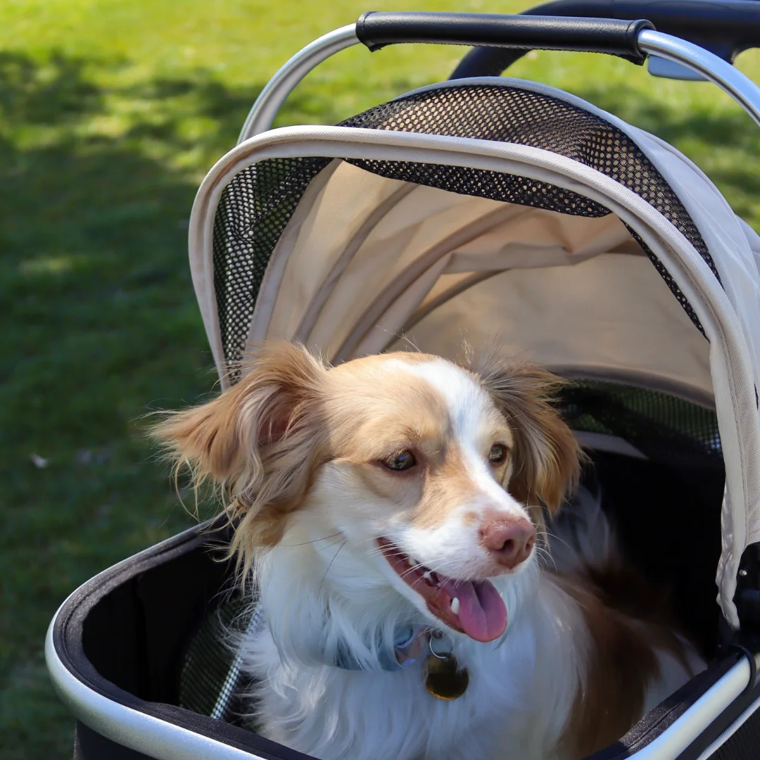 Foldable Pet Stroller with Detachable Carrier and Storage Basket for Dogs and Cats