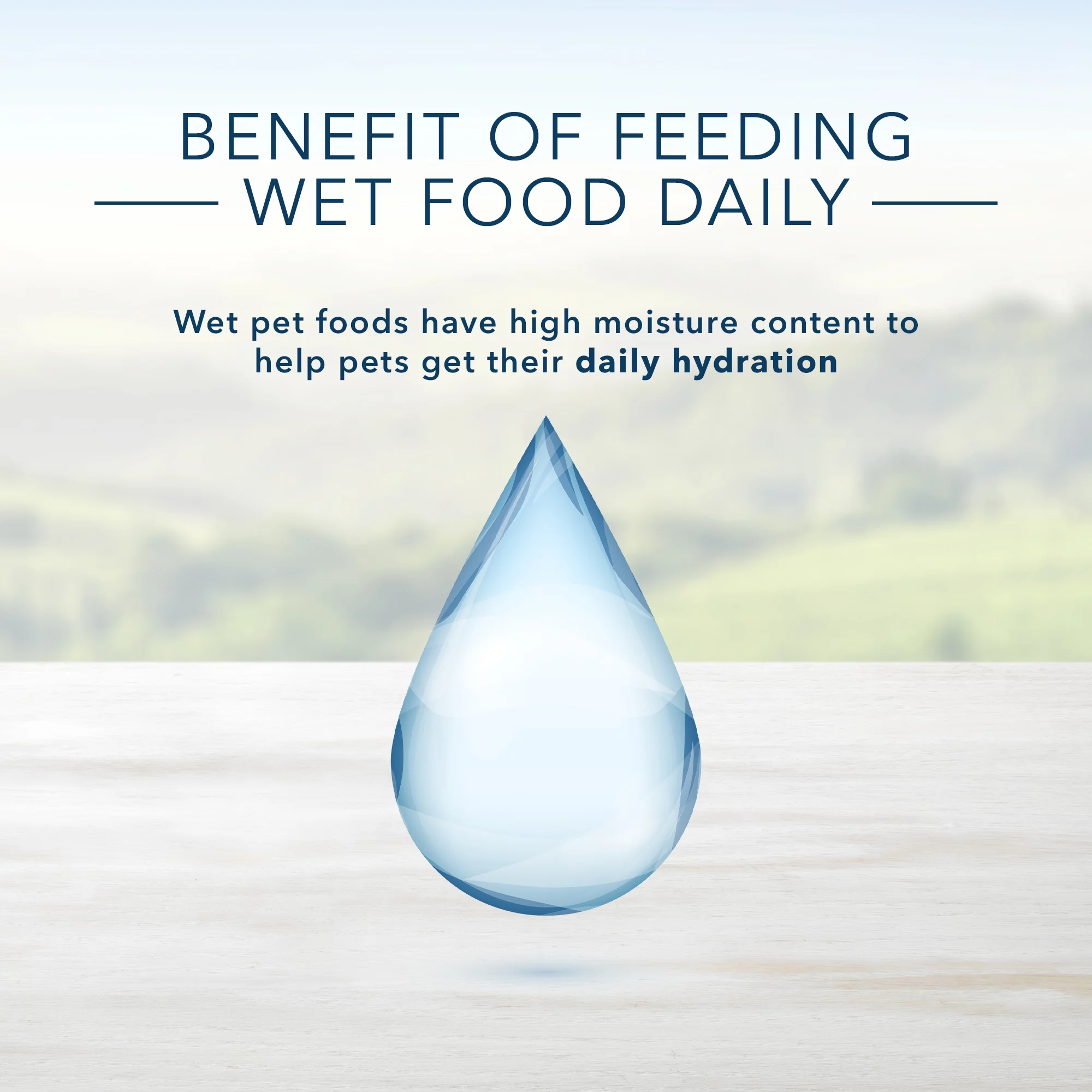 (4 pack) Blue Buffalo Homestyle Recipe Healthy Weight Chicken Pate Wet Dog Food for Adult Dogs, Whole Grain, 12.5 oz. Can