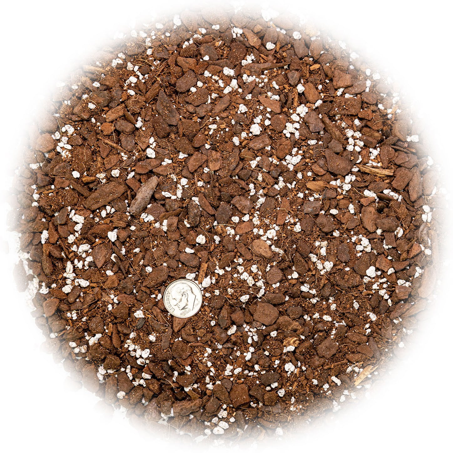 ⭐ PREMIUM Monstera Potting Soil - Quick Drain Potting Soil for Growing and Repotting Monstera Deliciosa/Swiss Cheese Plant [5 Quart Bag] by ://N ★ LOVA