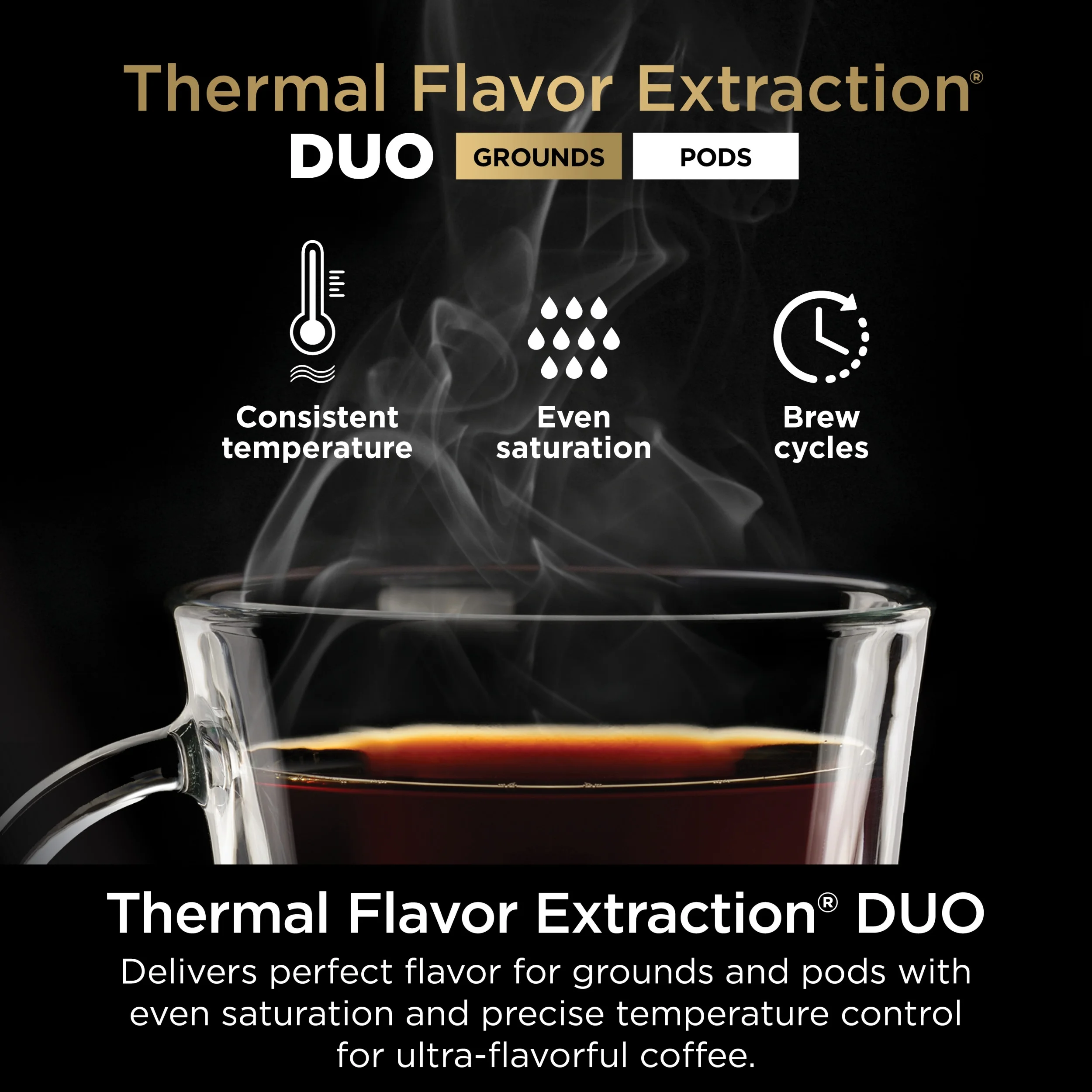 Ninja DualBrew Hot & Iced Coffee Maker, Single-Serve, compatible with K-Cups & 12-Cup Drip Coffee Maker