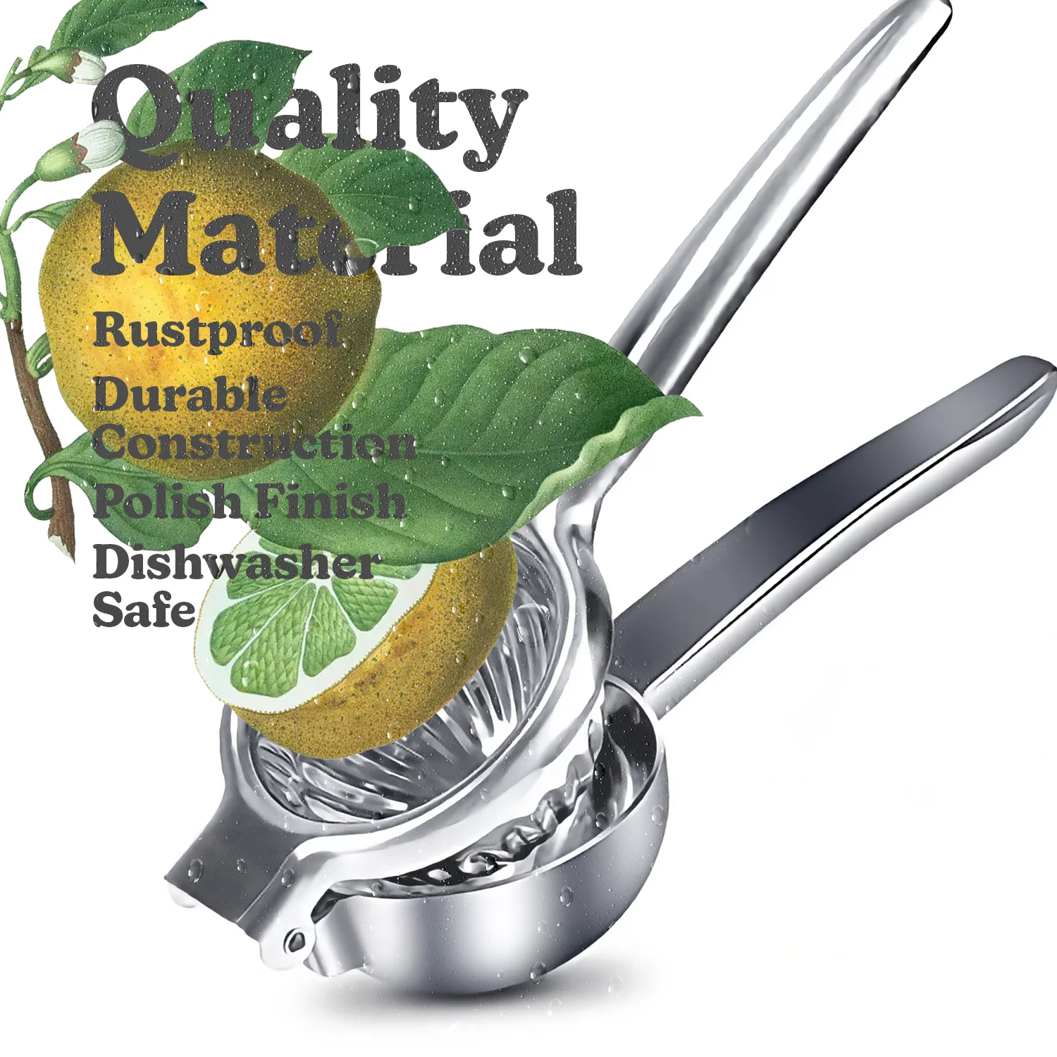 Malai Exclisive Light Weight Manual Lemon Squeezer Stainless Steel Citrus Fruit Lime And Lemon Juicer