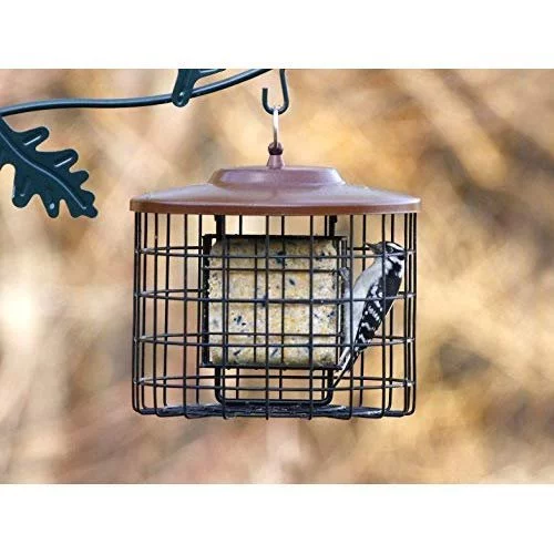 Hiatt Manufacturing Squirrel-X Squirrel Proof Double Suet Feeder, Cage Bird Feeder, 2 Suet Cake Capacity