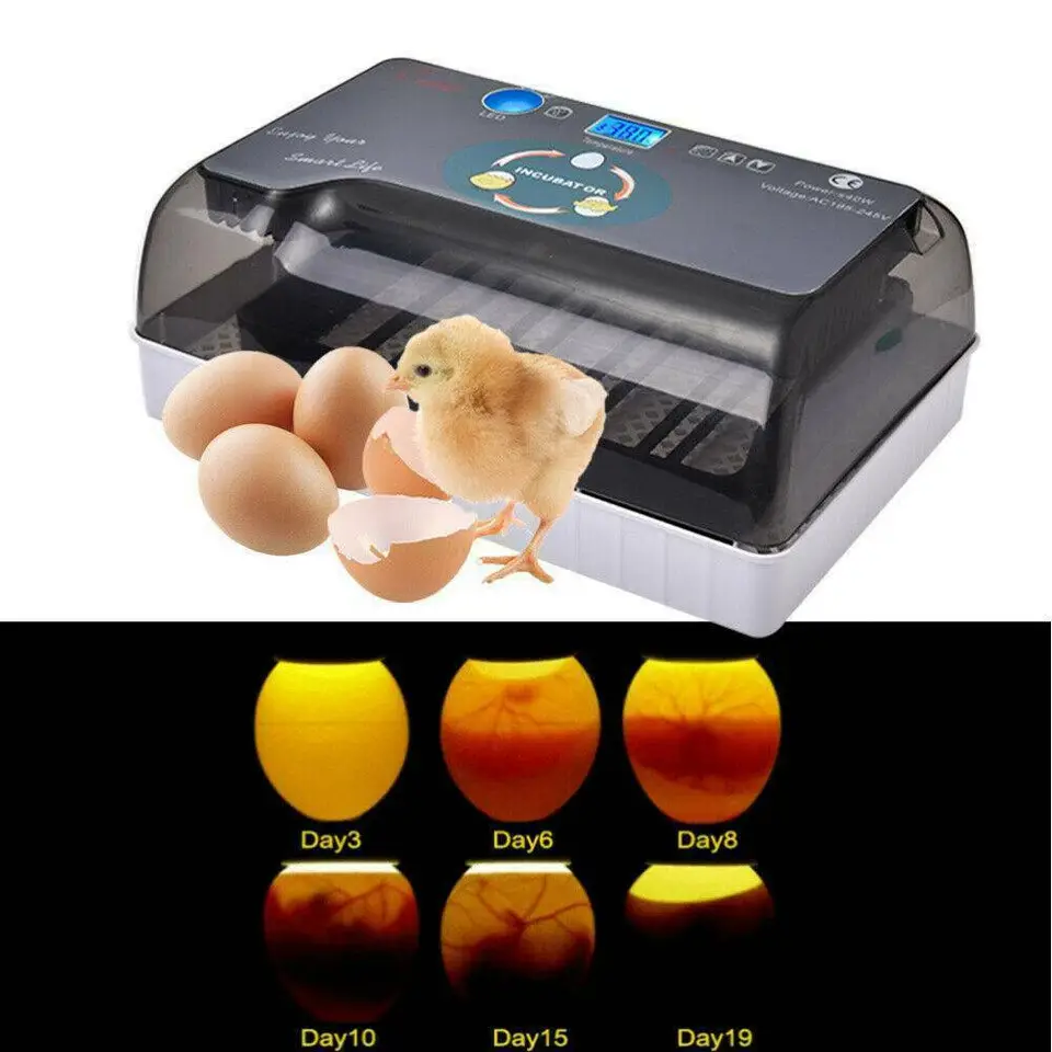 110V Egg Incubator With Automatic Egg Turning And Humidity Control With Turner Farm Innovators For Chickens Ducks Quail Birds (12 Eggs)