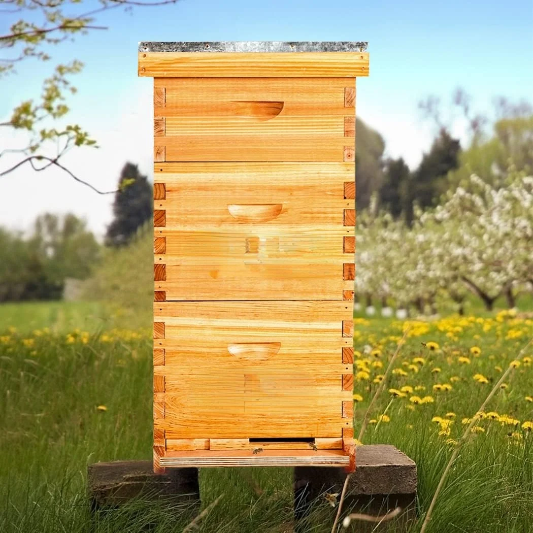 10 Frame Langstroth Bee Hive Coated with 100% Beeswax Includes Beehive Frames and Waxed Foundations (2 Deep Boxes & 1 Medium Box)