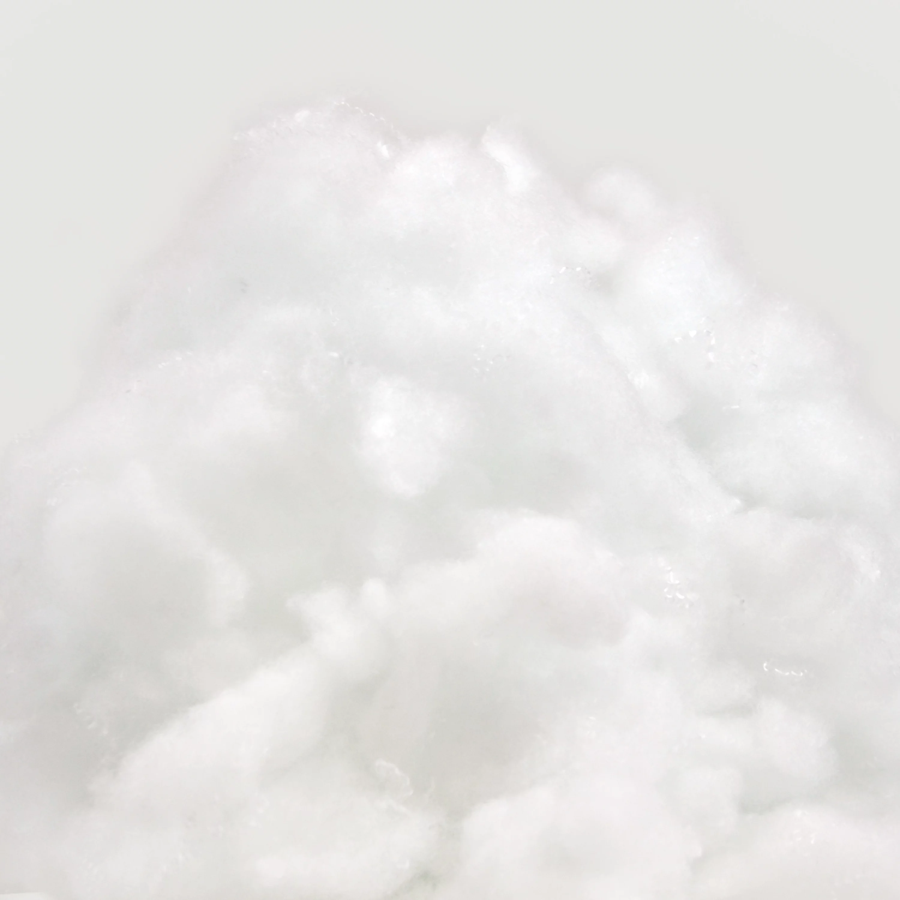 Poly-fil? Joy-Fil? by Fairfield, 12 Ounce Bag