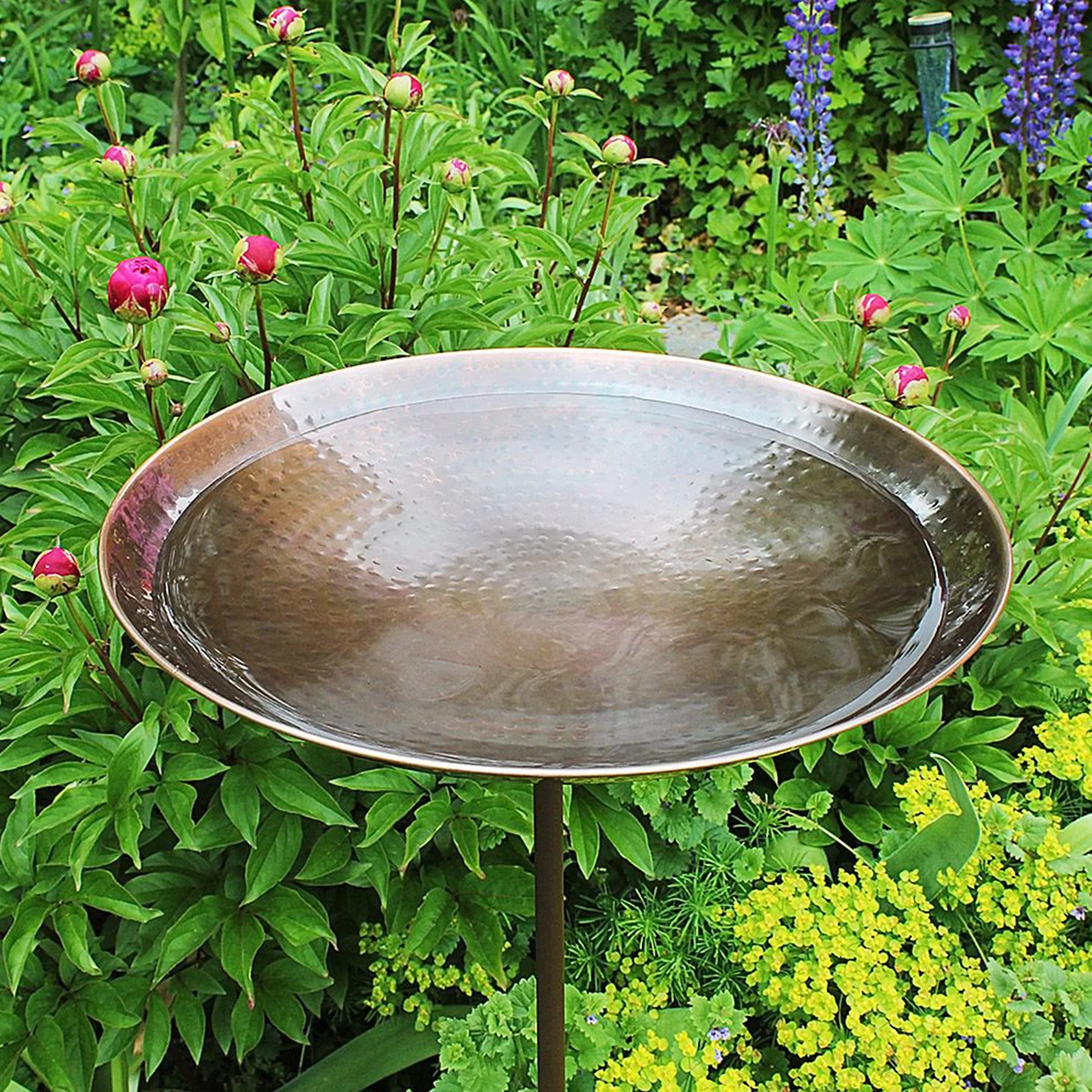 Achla Designs 14 In Copper Plated Stainless Steel Birdbath with 36 In Stake