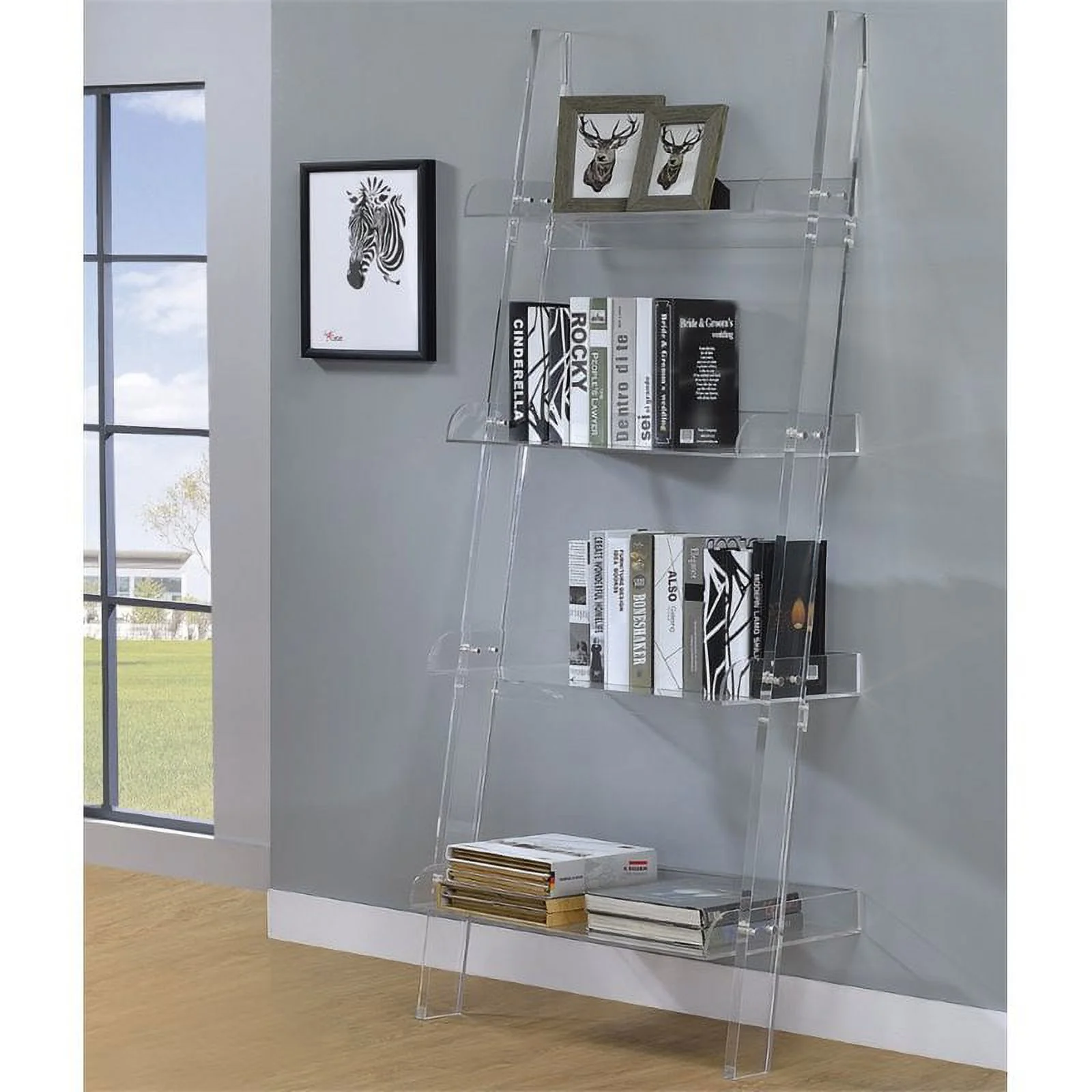 Bowery Hill Modern 4 Shelf Contemporary Clear Acrylic Ladder Bookcase