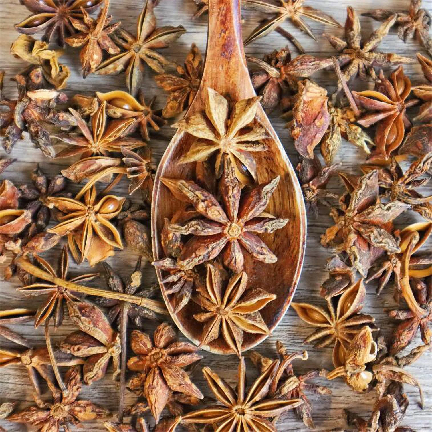 Royal Seafood USA Premium Dried Anise Seed, Dried spice way star Anise, Whole Star Anise, 4oz/bag, Bajiao