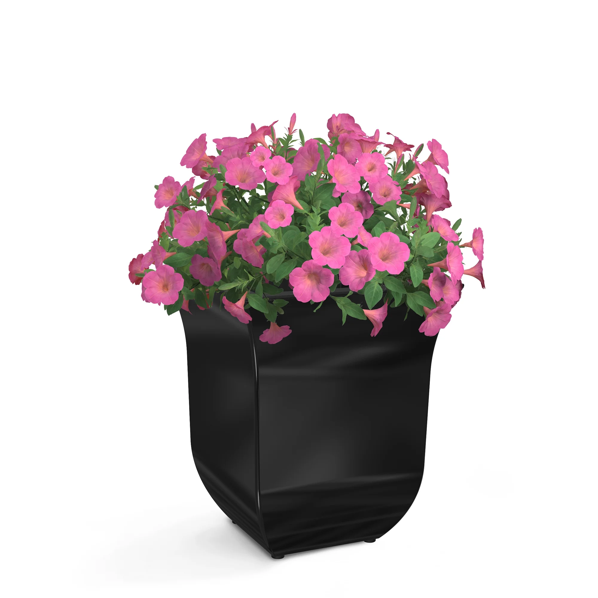 Valencia 8in Wall Mount Planter - Single - Black