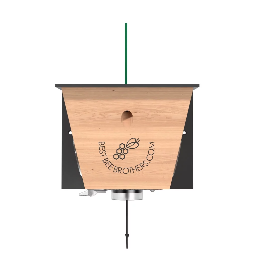 Best Bee Brothers Carpenter Bee Turbo Trap 2.0 with Bee Vault 2 pack and Designer Black Roof