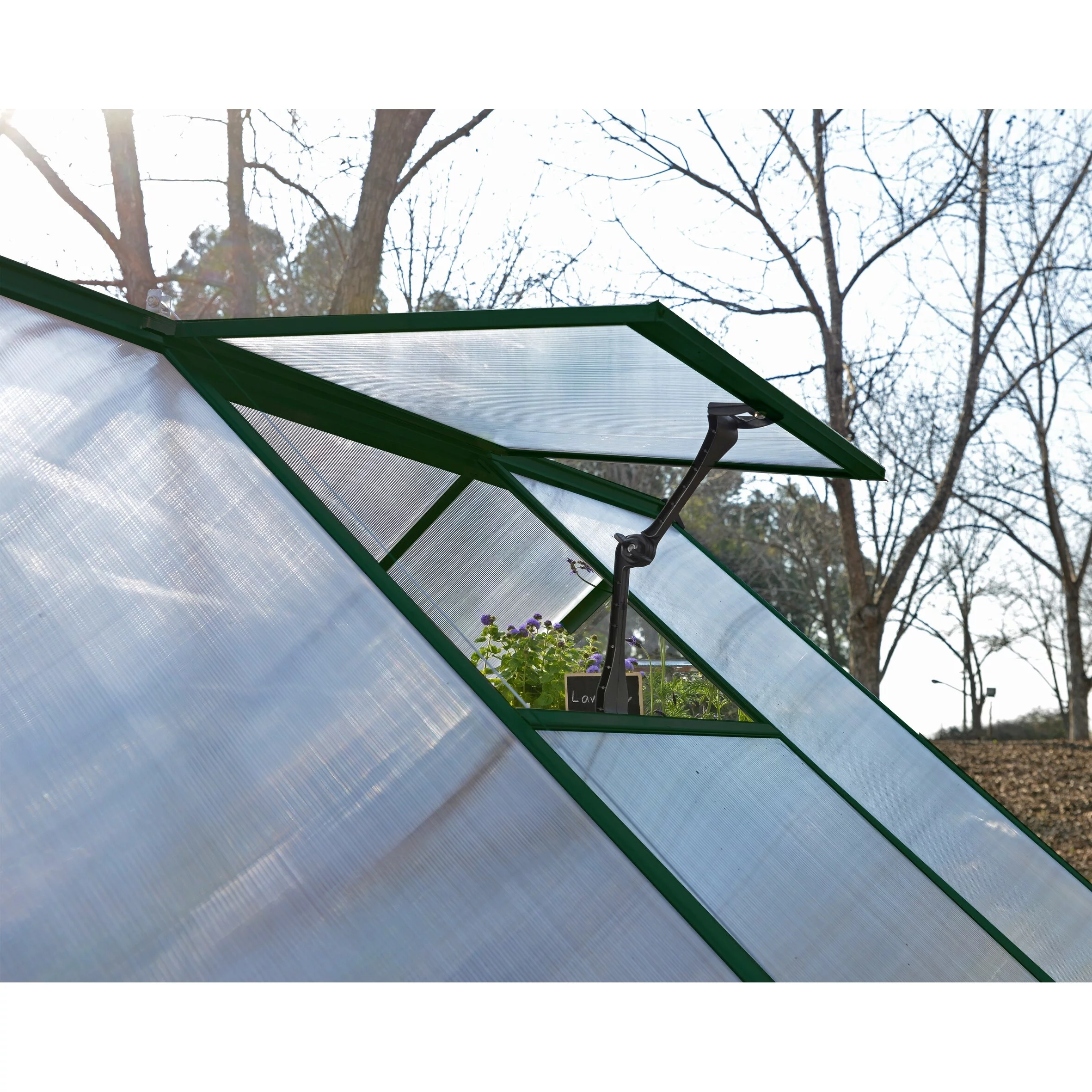 Palram - Canopia  8 x 8 ft. Canopia Balance Greenhouse, Green