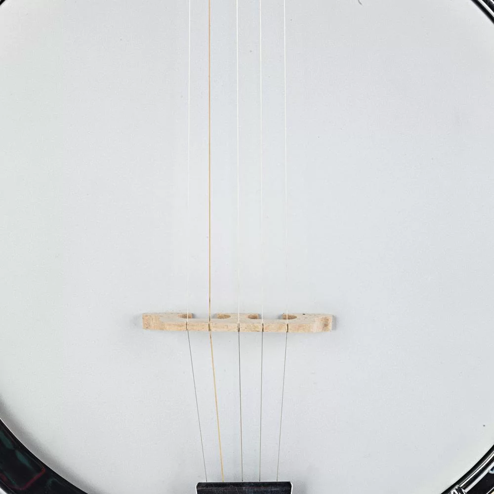 Ktaxon Professional Top Grade Exquisite Wood Metal 5-string Banjo