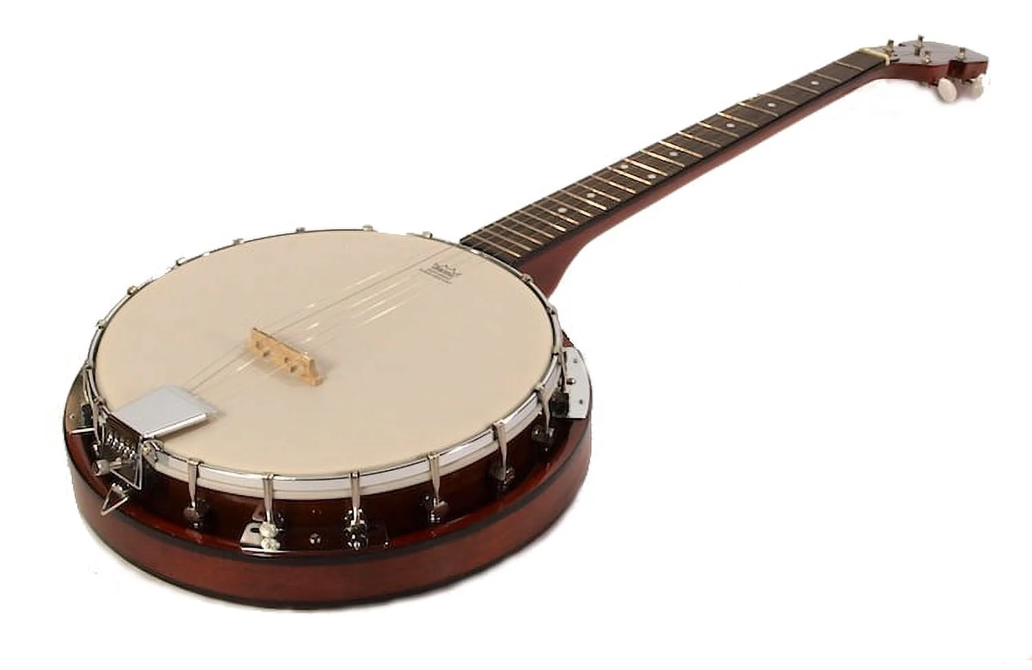 5-String BANJO - REMO Head 38