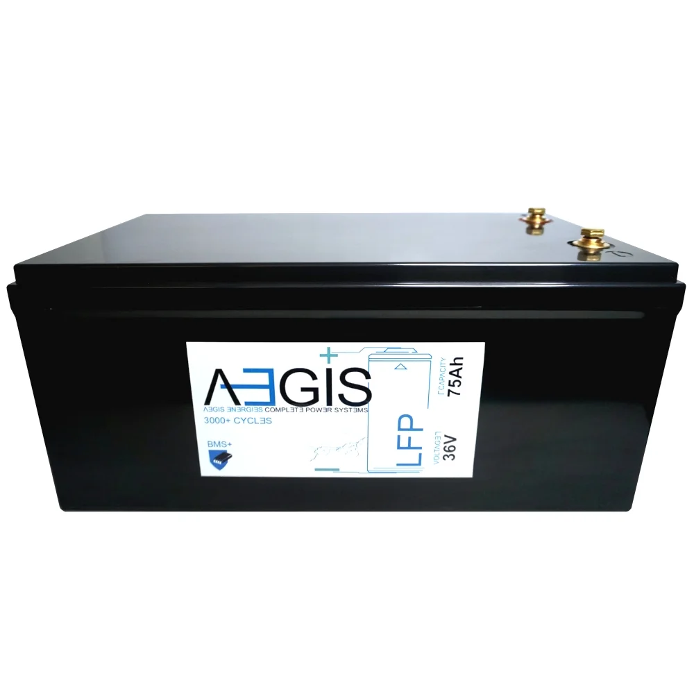 Lithium Master 36v 75ah LiFEPO4 Deep Cycle Battery