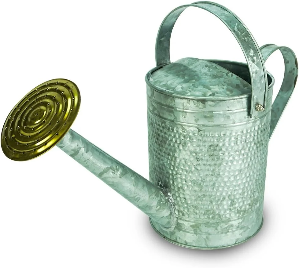Home & Garden MPT01191 Jameson Metal Watering Can, 1 Gallon, Galvanized