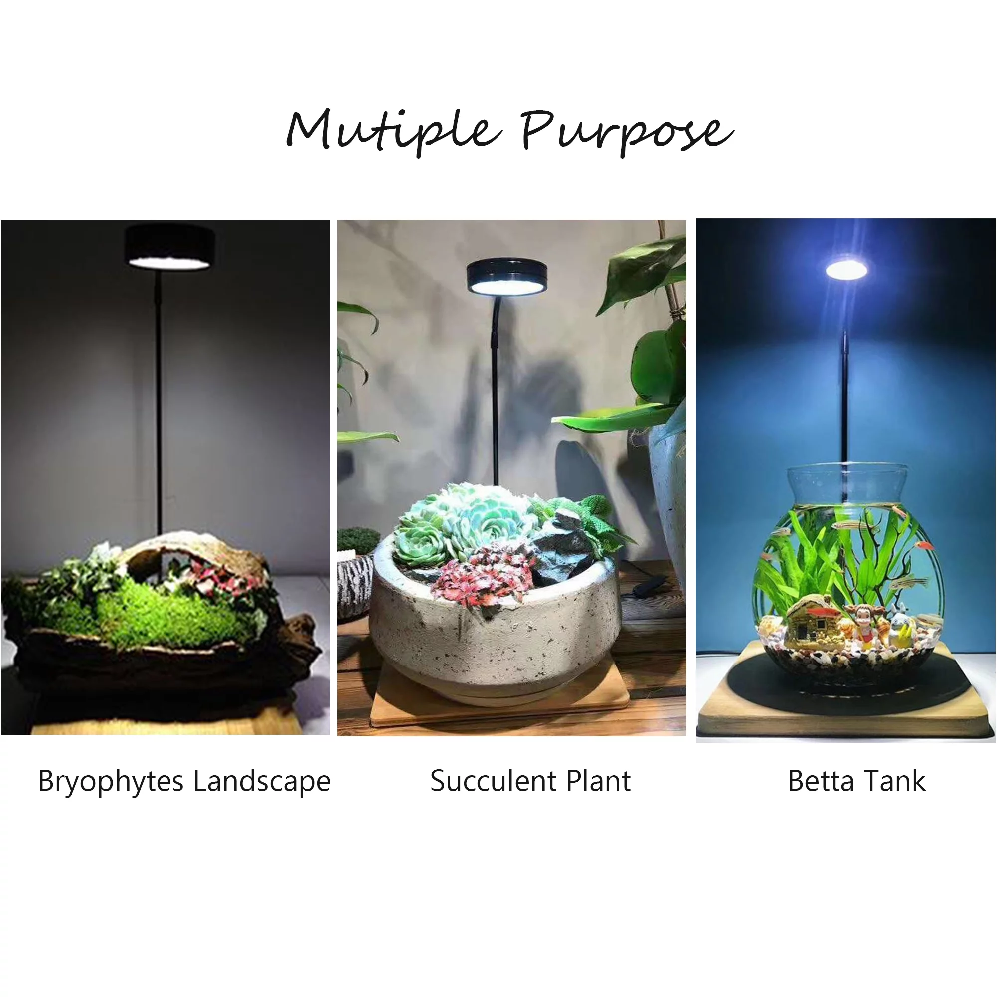 Full Spectrum LED Light with Bamboo Board, fits Aquarium Nano Tank, Betta Fish Tank, Potted Plants, Succulent, Miniature Landscape (5W)