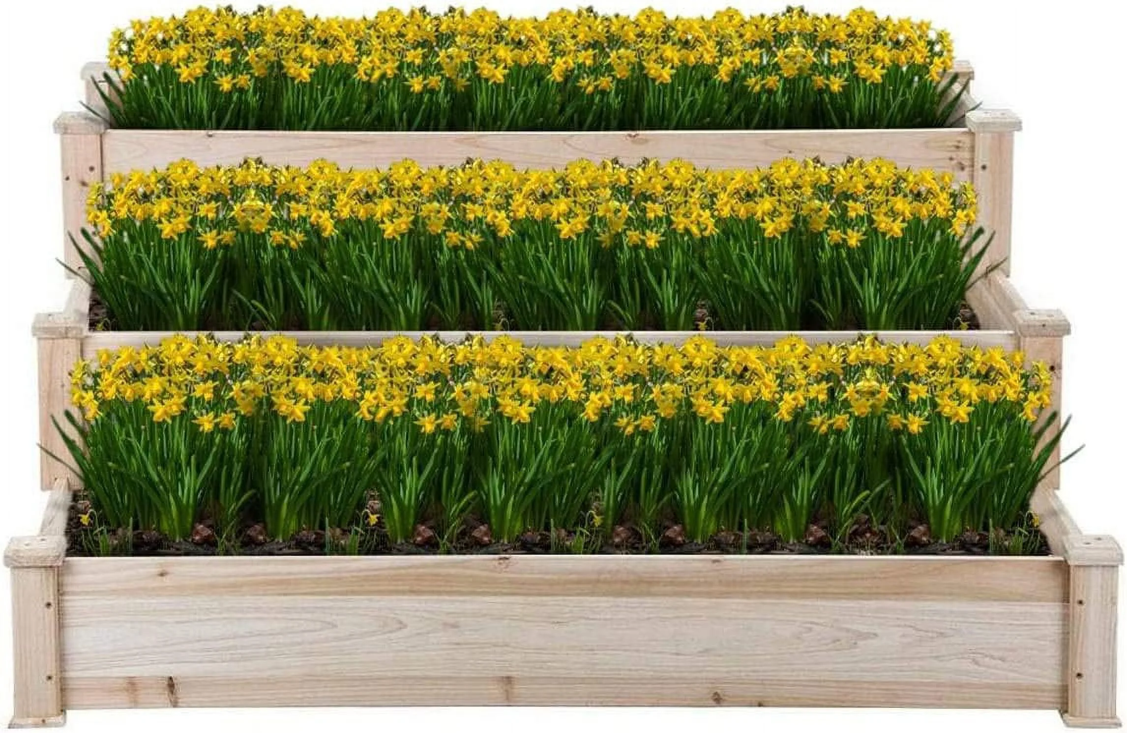 Raised Bed Planter, 4’X4’. Outdoor Wooden Raised Garden Bed Kit For Vegetables, Fruit, Herbs, Flowers And Plants, Tiered Design.