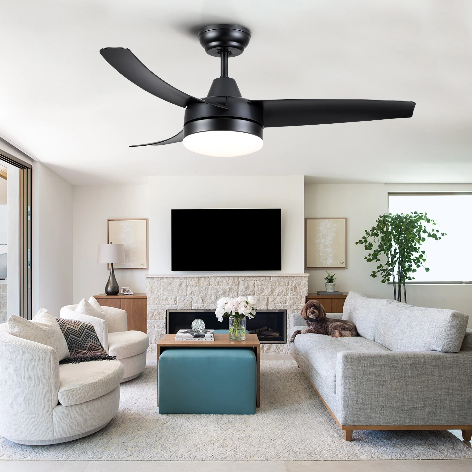42 in. Black modern Ceiling Fan with Light and Remote Control, Reversible DC Moto - 42 Inches Whtie