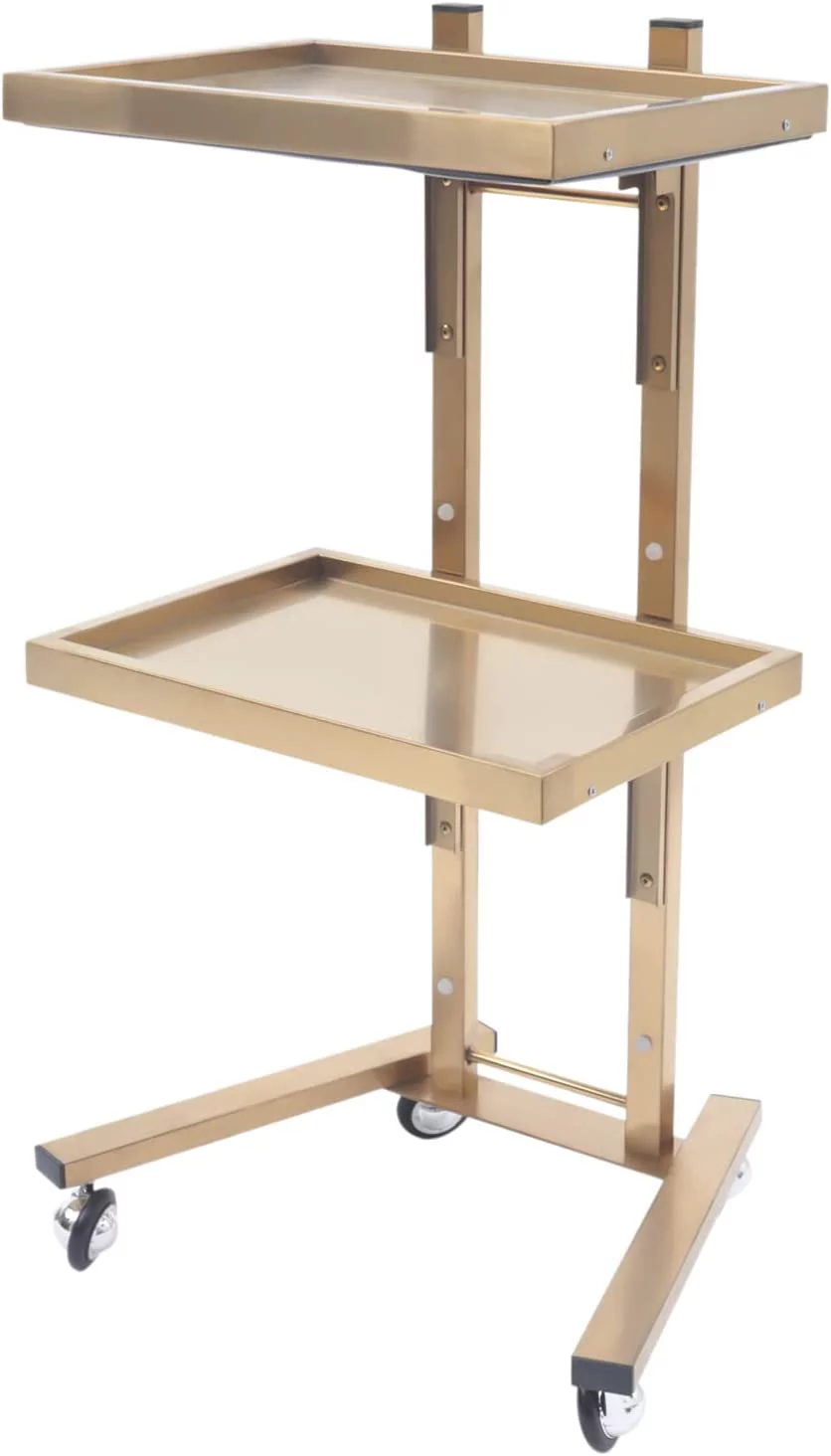 MONIPA 2-Tier Cart Trolley Tray, Foldable Metal Rolling Trolley with 4 Swivel Casters Load 44 lb, Tattoo Shop Collapsible Utility Carts Stainless Steel Salon Storage Stand (Gold)