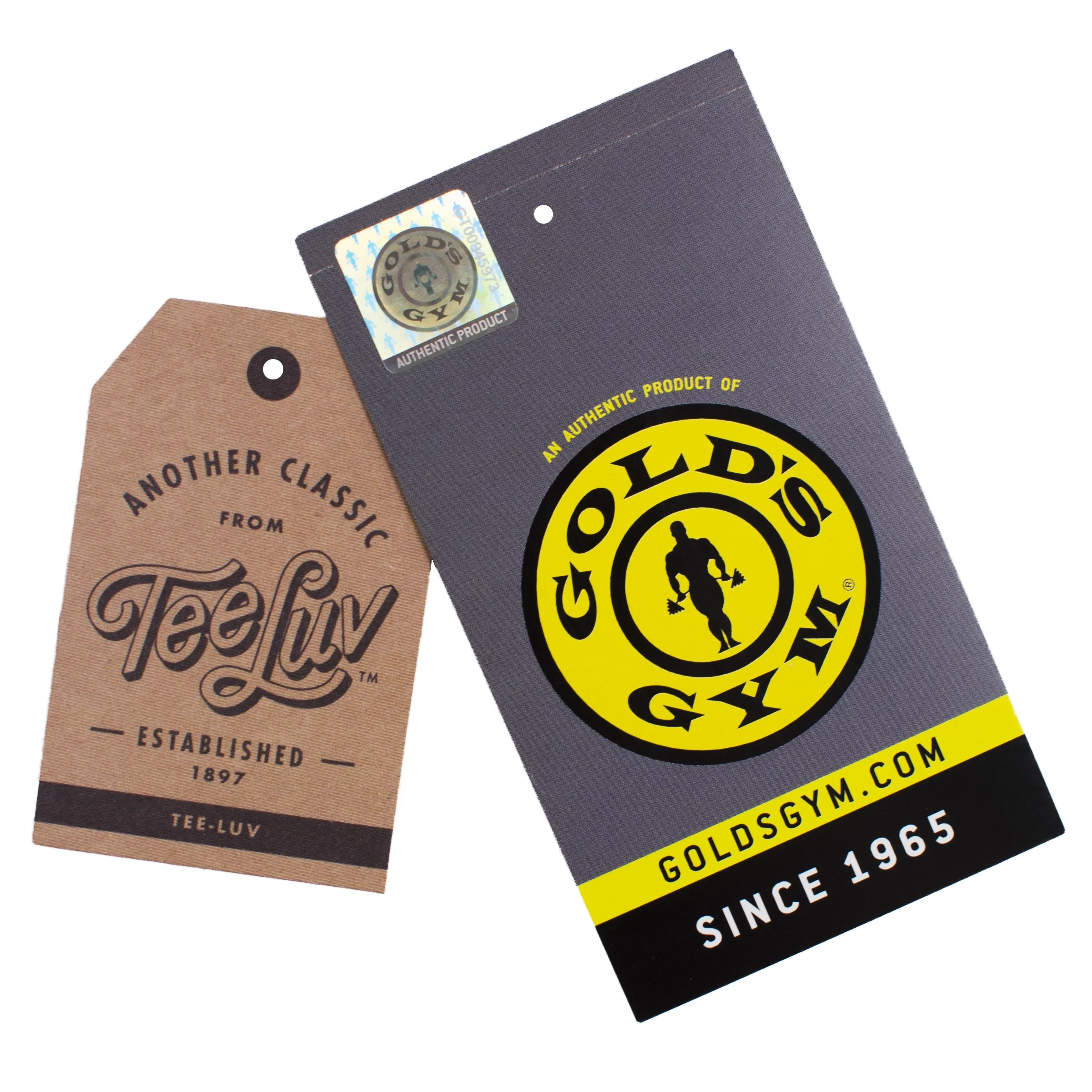 Tee Luv Men's Gold's Gym Long Sleeve Hooded Shirt (M)