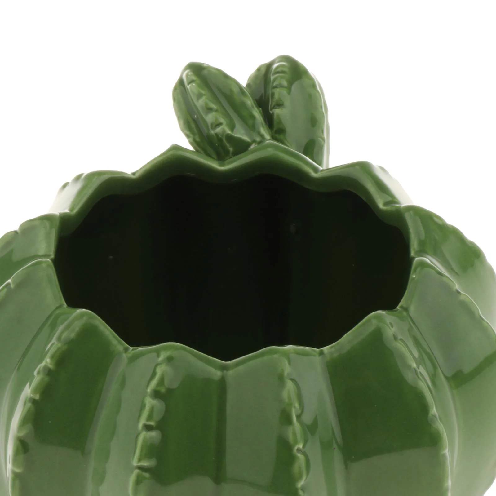 Ceramic Succulent Plant Pot/Cactus Plant Pot Flower Pot/Container/Planter