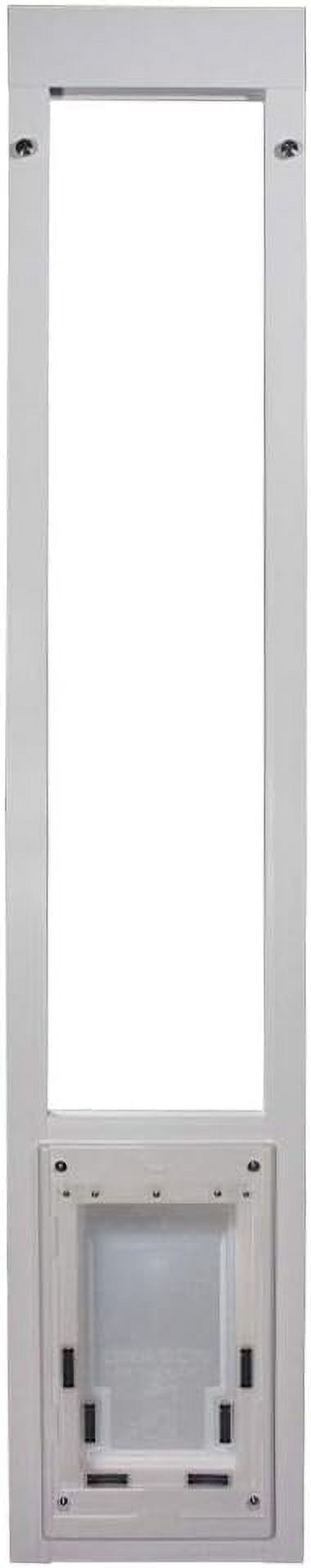 Pure cotton T-shirt summer round neck casual versatile women's top T Shirt 2024