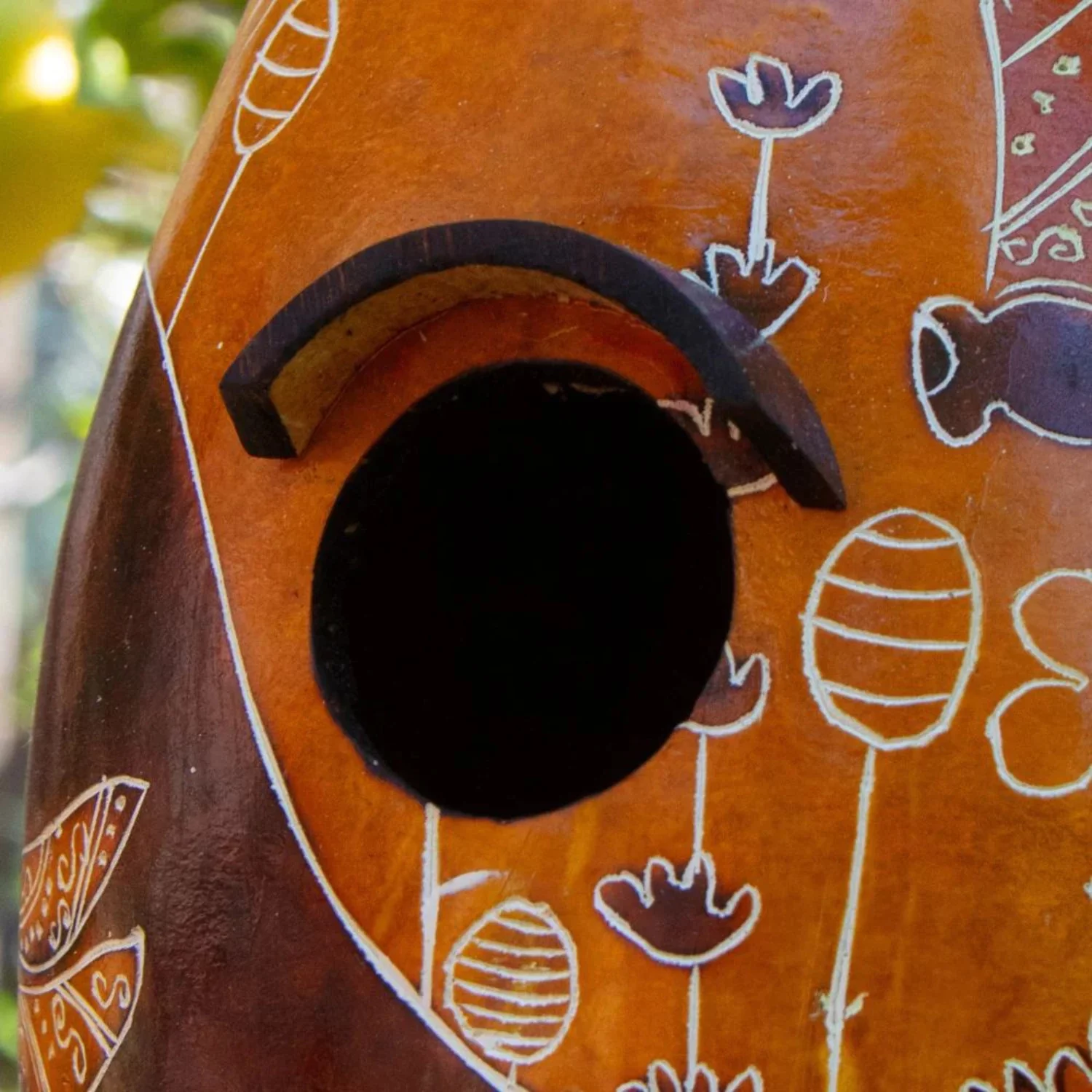 Dragon Fly Gourd Bird House