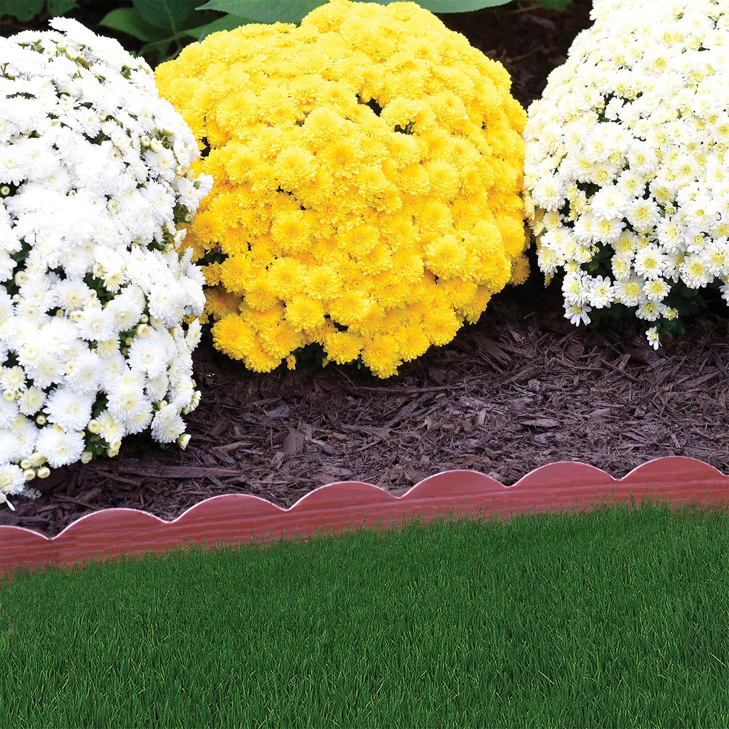 EasyFlex Embossed 2-in-1 Landscape Edging in Rde, 20 ft. Kit, Plastic