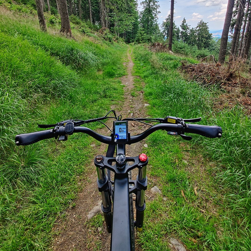 ENGWE Electric Bike,All-terrain Bike 24in 1000w 8 Speed 31mph 24x4.0 Snow Speed E-bike Maximum 24x4.0 Snow Fat 19.2ah 1000w 8 Maximum Speed 31mph Speed 31mph 24x4.0 8 Speed E-bike 48v 19.2ah 1000w