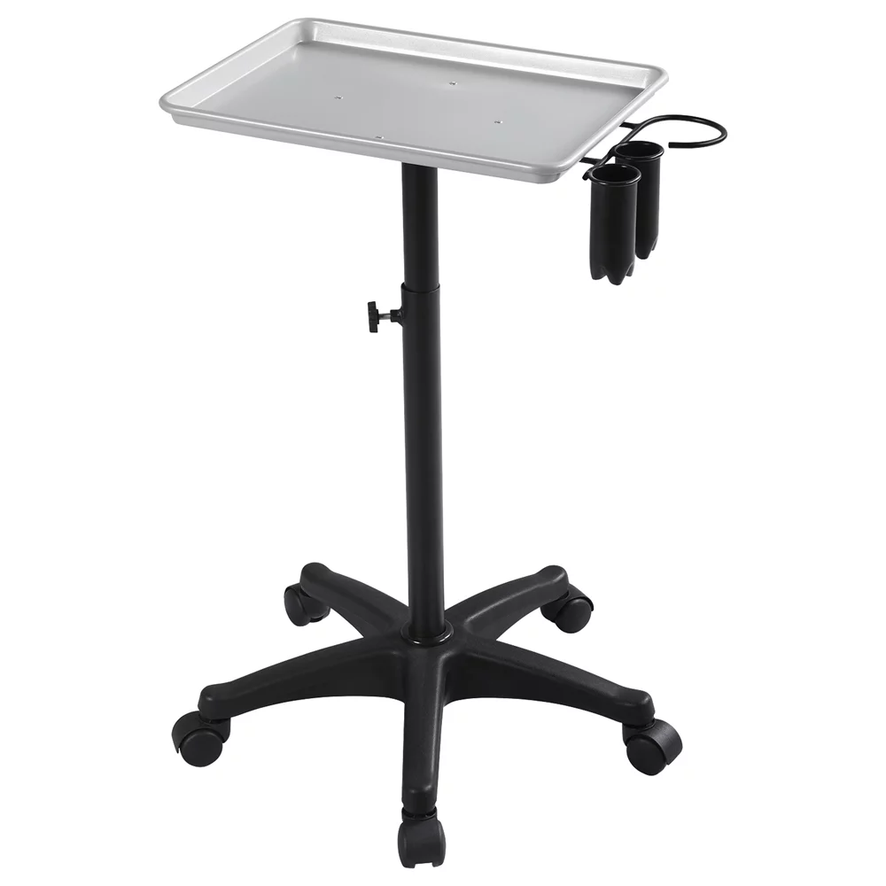 Yaheetech Professional Salon Hair Tray Rolling Trolley Cart, Silver